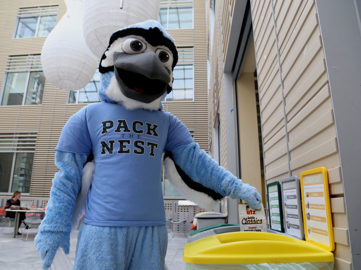 Blue Jay mascot sorting trash 