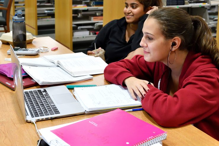 Students studying in library.